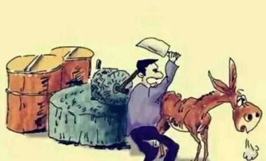 卸磨杀驴打一正确生肖，全面释义、全面解答解释落实