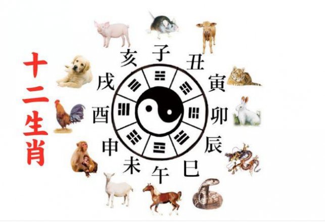 欲钱找最最忙的动物打一准确生肖详细解答、解释与落实、科学解答解释落实