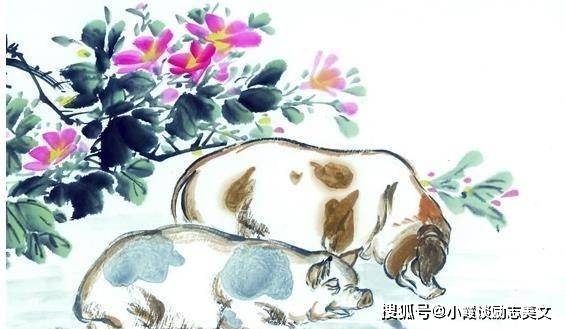熟生巧巧则变变化多端不絮乱打一生肖，详细解答、定量解答解释落实