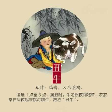 虎落平原被犬欺，古人流传有道理打一个准确生肖,警惕虚假宣传落实,构建解答解释落实