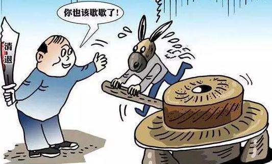卸磨杀驴打一正确生肖，全面释义、全面解答解释落实