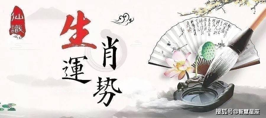 一身清白打一个准确生肖,警惕虚假宣传落实,专家解答解释落实