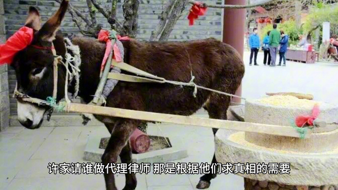 卸磨杀驴打一正确生肖，全面释义、全面解答解释落实