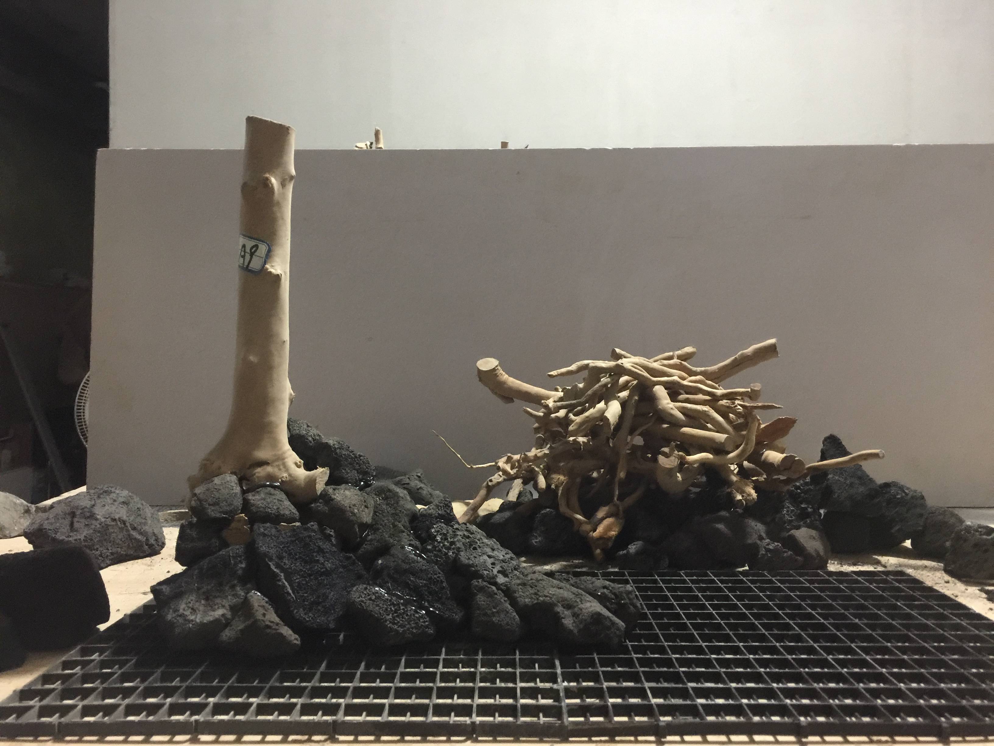 草木雕零，預垣敗瓦。臉部變化會觀察打生肖请全面2释义、解释与落实、综合解答解释落实