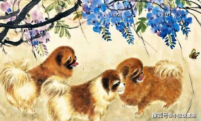 若非群玉山头见打一正确生肖、警惕虚假宣传-全面释义、定量解答解释落实