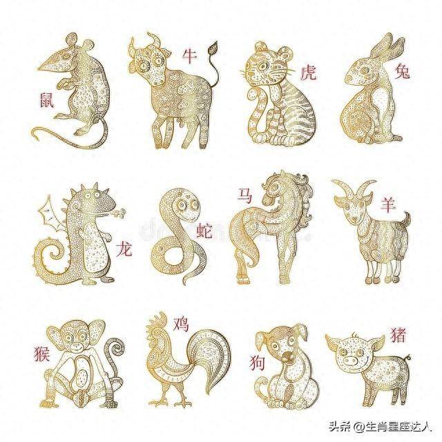 虎落平原被犬欺，古人流传有道理打一个准确生肖,警惕虚假宣传落实,构建解答解释落实